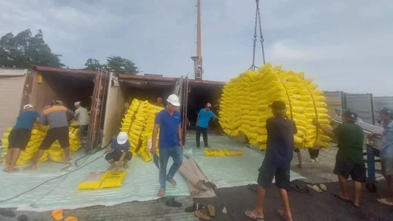Ấn Độ mở cửa lại thị trường, xuất khẩu gạo Việt Nam có bị ảnh hưởng?