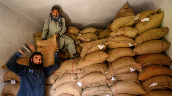 Thị trường nông sản: Giá gạo Ấn Độ chạm đáy ba tháng do nhu cầu yếu