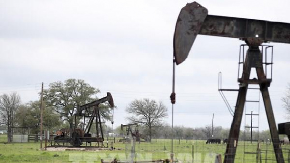 Giá dầu tăng phiên thứ hai liên tiếp