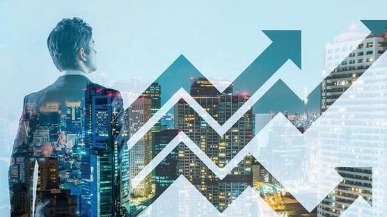 Nhiều thương hiệu mới 