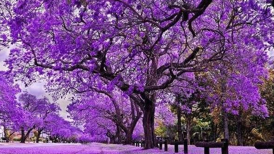 Cổ phiếu DN bất động sản của 