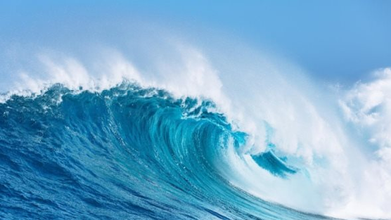 Góc nhìn chuyên gia: Nhịp 