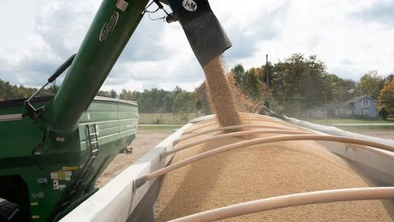 Căng thẳng thương mại tạm lắng, Trung Quốc nối lại nhập khẩu mặt hàng tỷ USD của Mỹ sau hơn nửa năm ‘quay lưng’