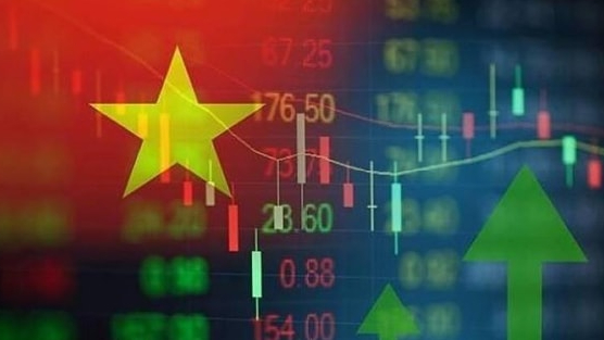 Góc nhìn chuyên gia: 