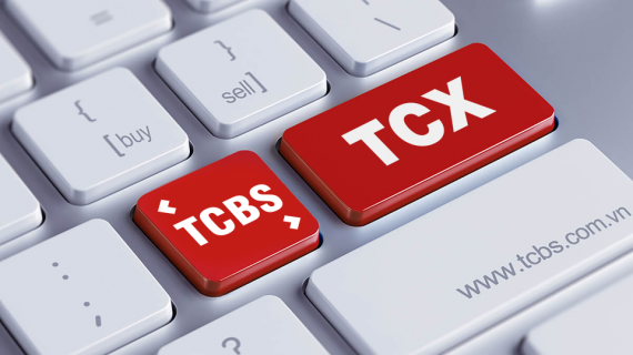 69 cổ đông thông qua nội dung chia cổ tức kép 25% của Chứng khoán TCBS