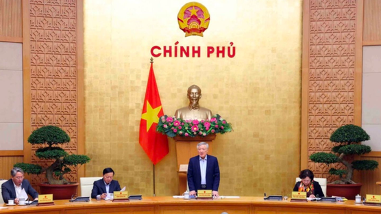 Đường sắt tốc độ cao Bắc – Nam: Làm rõ năng lực, chọn đúng nhà đầu tư để tránh rủi ro