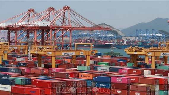 Mỹ miễn thuế đối với rong biển đã qua xử lý của Hàn Quốc