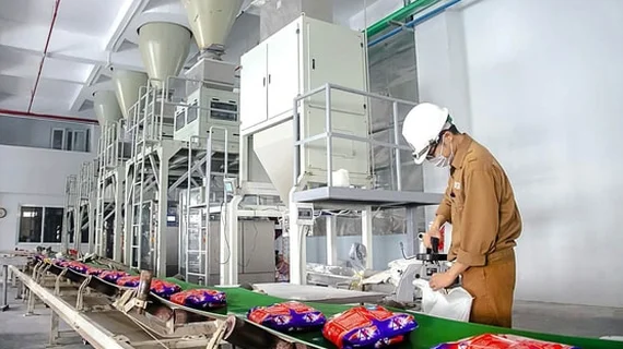 Dragon Capital không còn là cổ đông lớn tại Hóa chất Đức Giang trước khi cổ phiếu lao dốc