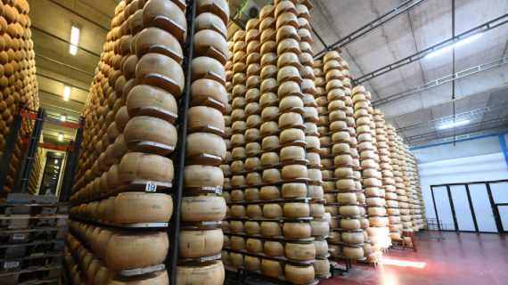 Gồng mình chống đỡ cú sốc từ chính sách thuế quan của Mỹ, kinh tế EU lao đao