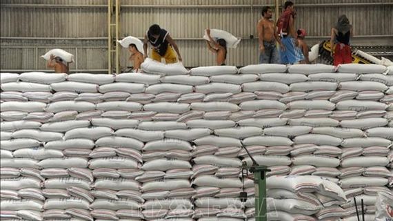 Nhập khẩu gạo năm 2026 của Phillipines dự kiến giảm xuống dưới 4 triệu tấn