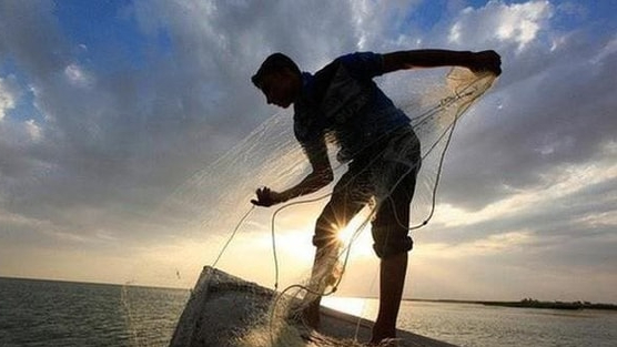 Khối ngoại trở lại 