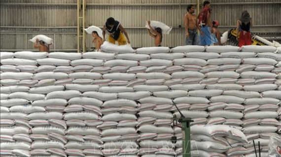 Gạo dự trữ của Indonesia dự kiến đạt kỷ lục trong năm 2025