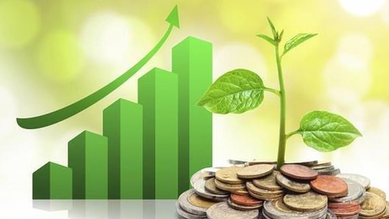 Lịch chốt quyền cổ tức tuần 29/12– 2/1: Cổ tức tiền mặt cao nhất 30%