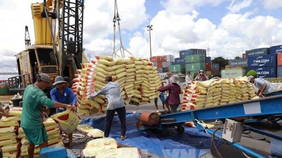 Giá gạo châu Á ổn định do nhu cầu yếu và nguồn cung tăng