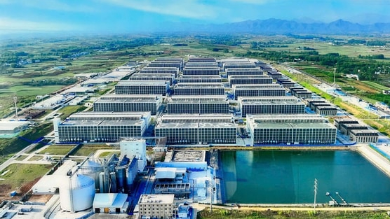 BAF nói về “chung cư nuôi heo” đầu tiên tại Việt Nam: Để tạo ra 100.000 heo/năm chỉ cần 95 nhân công, diện tích đát 6,7ha - tiết kiệm được 10 lần