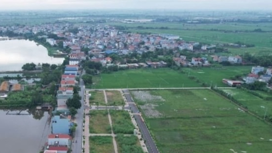 Đấu giá thành công 54 lô đất bị bỏ cọc tại huyện Thanh Oai (Hà Nội)