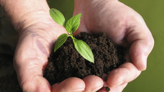 Cổ phiếu phân bón – hóa chất còn tiếp tục thăng hoa trong năm 2025?