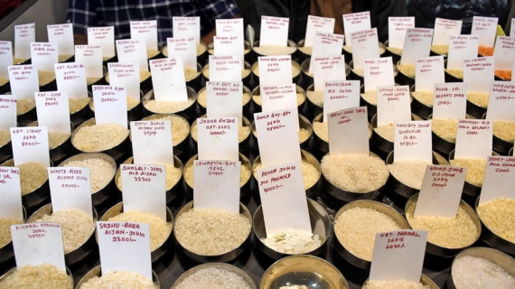 Giá gạo Ấn Độ giảm mạnh nhất hai năm do nguồn cung tăng