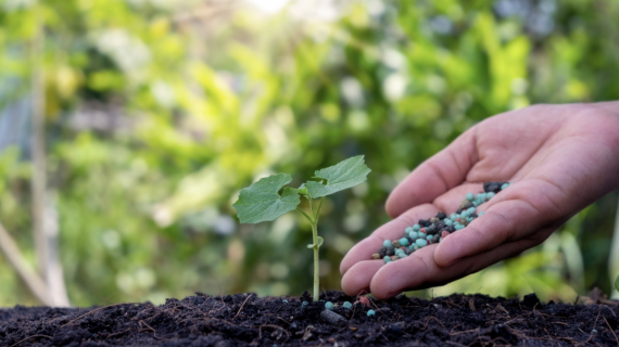 Căng thẳng tại Trung Đông tác động thế nào đến doanh nghiệp phân bón Việt Nam?