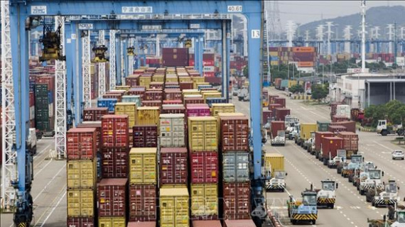 Giá cước vận tải biển Trung-Mỹ giảm hơn 50%