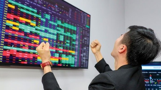 Loạt doanh nghiệp đem hàng trăm, nghìn tỷ đồng đi đầu tư cổ phiếu: Gelex, REE chủ yếu đầu tư vào cổ phiếu ngân hàng, TVC đã bán đi gần 95% danh mục