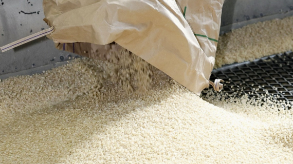 Nguồn cung dư thừa, giá gạo thế giới rơi về mức đáy 8 năm