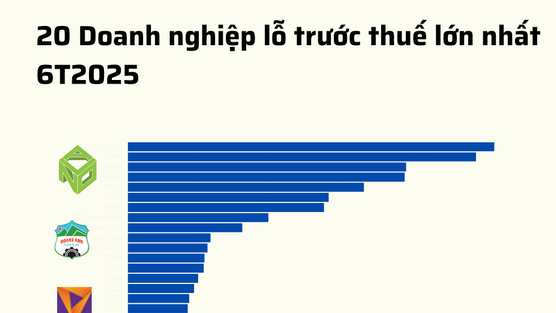 20 doanh nghiệp lỗ lớn nhất 6T2025: Novaland 'vô địch', bất động sản áp đảo, 8 doanh nghiệp lỗ trăm tỷ