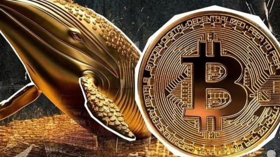 Bitcoin (BTC) là gì? Tất cả những điều cơ bản nhà đầu tư cần biết