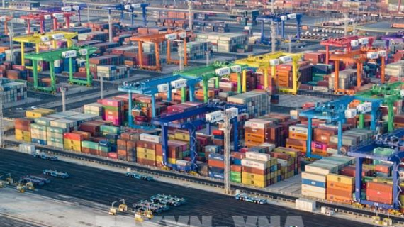 Gần 50% số công ty Mỹ kêu gọi dỡ bỏ thuế quan đối với hàng Trung Quốc