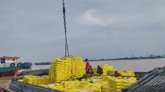 Xuất khẩu gạo cần chủ động đón cơ hội cuối năm