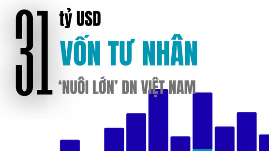 31 tỷ USD 'nuôi lớn' Masan, Tiki, Equest, Golden Gate... trong 1 thập kỷ từ dòng vốn tư nhân