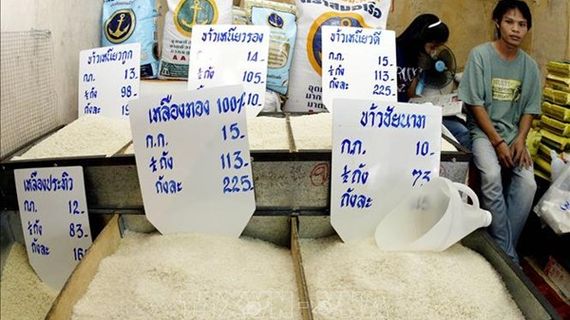 Giá gạo xuất khẩu của Thái Lan giảm xuống mức thấp nhất trong gần 9 năm