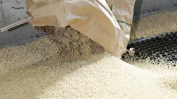 Indonesia chuẩn bị xuất khẩu gạo, ngô và gia hạn trợ giá lương thực