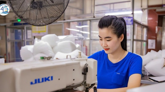 Nhờ đâu TNG đạt lợi nhuận quý 4 tăng 50% so với cùng kỳ?