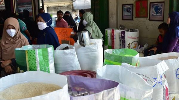 Giá gạo Ấn Độ và Thái Lan giảm nhẹ