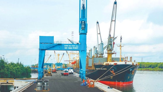 Công ty cảng biển 6.000 tỷ báo lãi kỷ lục, EPS 7.350 đồng, tiền mặt chiếm 50% tài sản