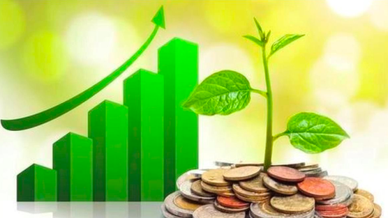 Lịch chốt quyền cổ tức tuần 26-30/1: Cổ tức tiền mặt cao nhất 20%