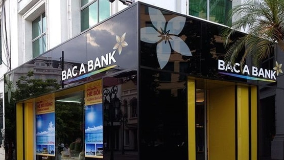 Ngân hàng Bắc Á Chi nhánh Long An có vi phạm, rủi ro về cho vay