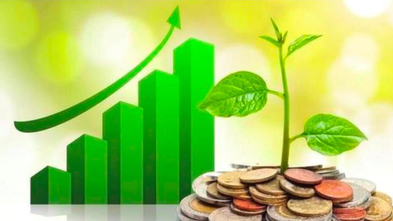 Lịch chốt quyền cổ tức tuần đầu tháng 2: Cổ tức tiền mặt cao nhất 30%, một công ty chứng khoán sắp 