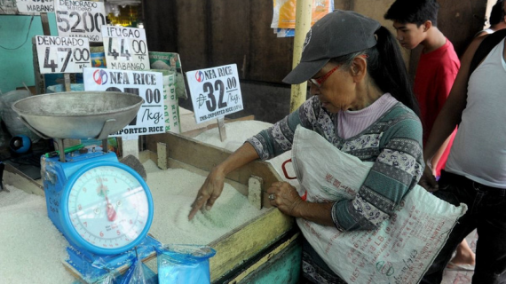 Philippines trở lại thị trường gạo quốc tế sau thời gian tạm dừng