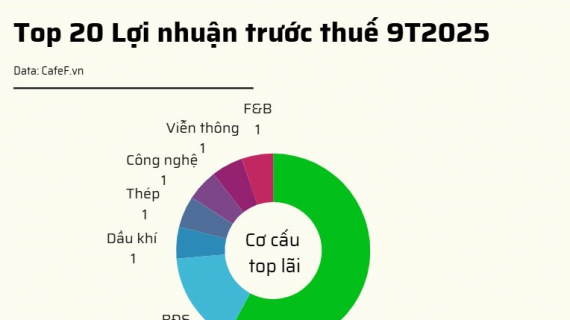 20 DN niêm yết có lợi nhuận trước thuế lớn nhất năm 2025: VinHomes vượt qua loạt ngân hàng giữ vị trí đầu bảng, 2 doanh nghiệp BĐS tăng trên 1.000%