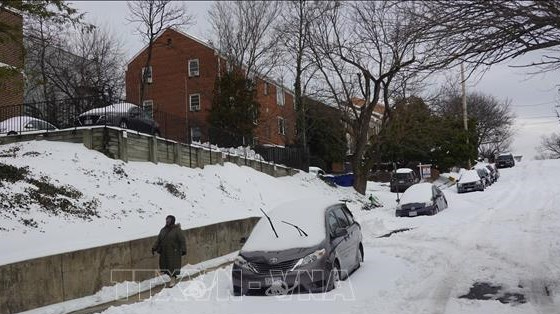 Điểm tin kinh tế thế giới nổi bật ngày 10/2/2026