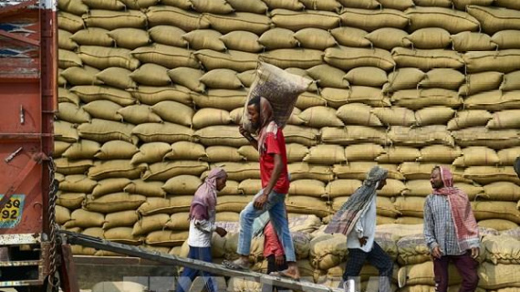 Giá gạo Ấn Độ và Thái Lan ít biến động trước thềm Tết Nguyên đán