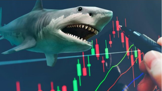 Khối quỹ ngoại cơ cấu danh mục ra sao trước kỳ nghỉ Tết?