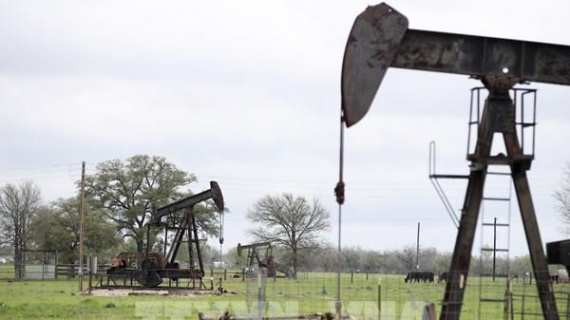 Giá dầu thế giới lấy lại đà tăng