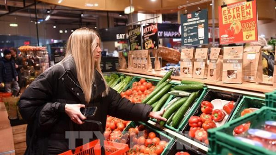 ECB: Người tiêu dùng và nhà nhập khẩu Mỹ chịu thiệt hại chính từ thuế quan