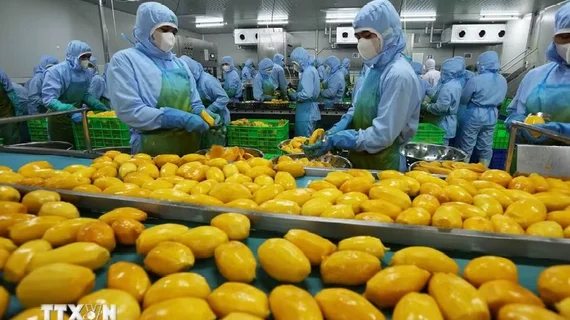 WB: Việt Nam là một điển hình về khả năng biến thách thức thành cơ hội