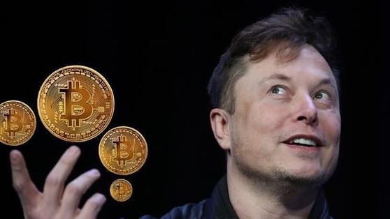 SpaceX của Elon Musk hé lộ số Bitcoin đang nắm giữ ngay trước thương vụ IPO lịch sử