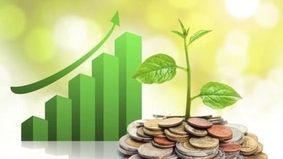 Lịch chốt quyền cổ tức tuần cuối tháng 5: Hoà Phát, FPT đồng loạt 