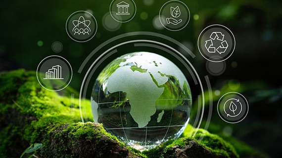 Loạt công ty chứng khoán đầu tiên gia nhập thị trường carbon Việt Nam
